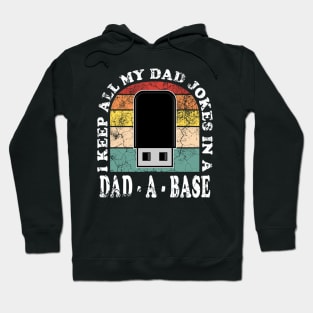 I Keep All My Dad Jokes in a Dad-a-base Vintage Retro Sunset Hoodie